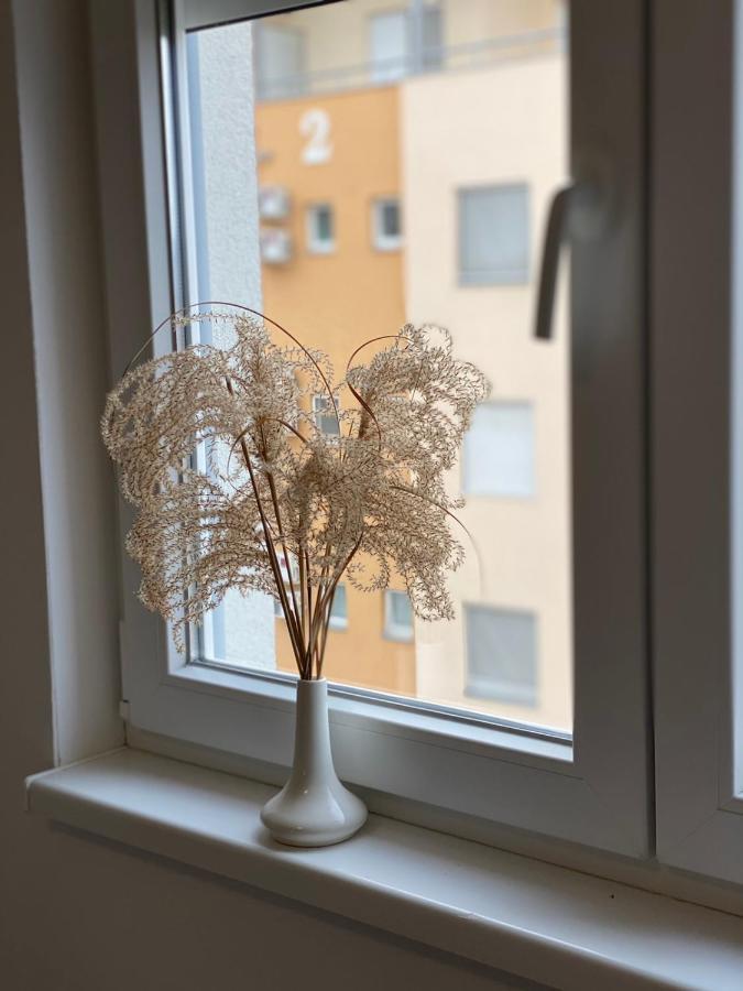 Apartmani Milic Banja Koviljača Eksteriør billede